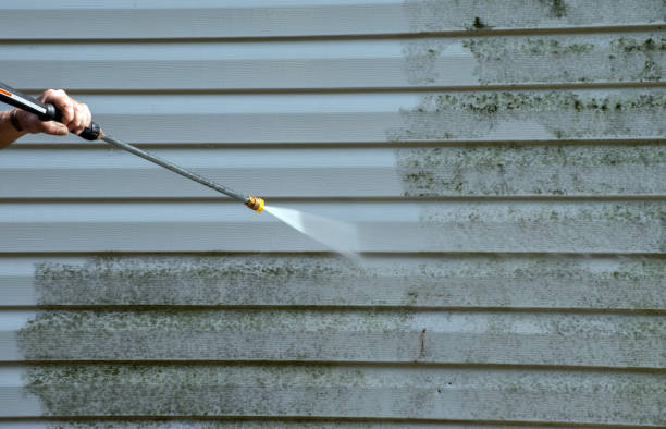 Why Choose Our Certified Pressure Washing Experts for Your Project Needs in Cairo, IL?