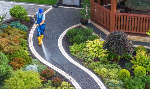 Best Pressure Washing Services Near Me  in Cairo, IL