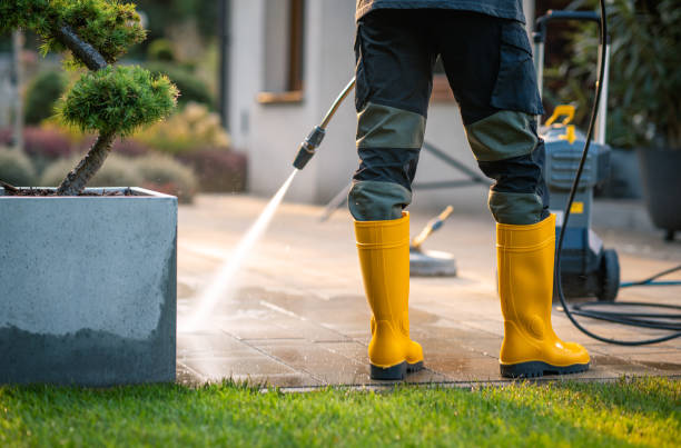 Best Roof Pressure Washing  in Cairo, IL